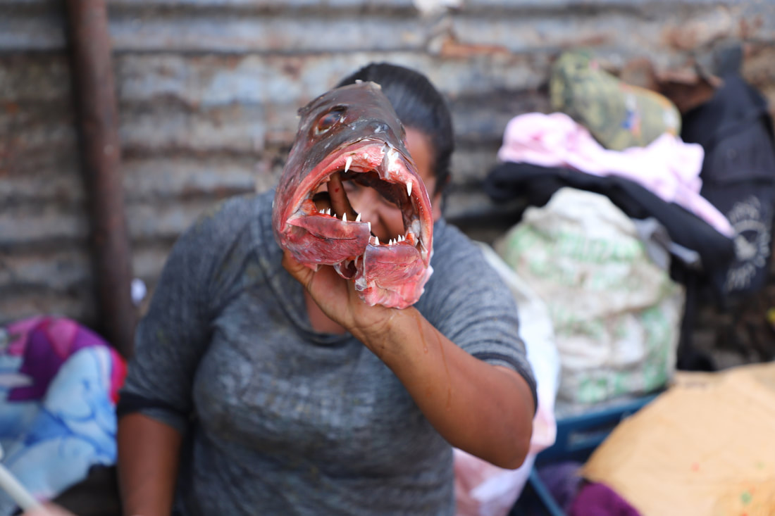 Who is cooking right beside the pile of garbage, putting into the boiling pot anything that looks like food, including this fish head.